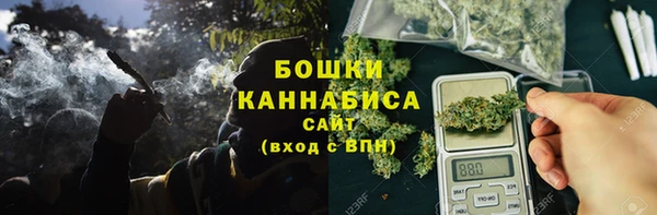 сатива Абаза
