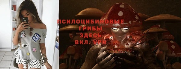 прущая мука Алзамай