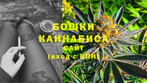 сатива Абаза