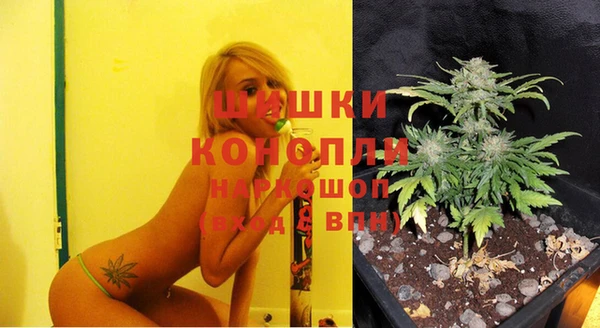 сатива Абаза