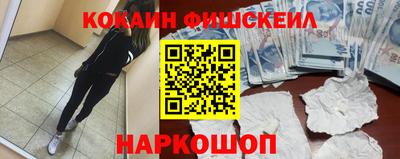 крисы Новозыбков