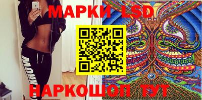 индика Обь