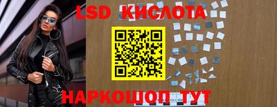 крисы Новозыбков