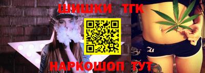 индика Обь