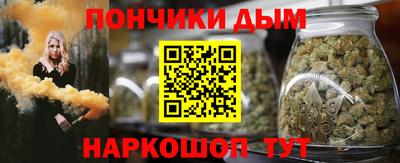 spice Новодвинск