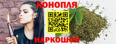 крисы Новозыбков