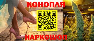 spice Новодвинск
