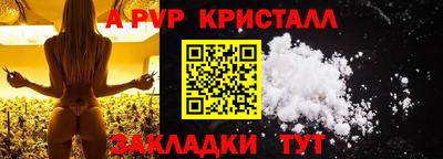 крисы Новозыбков