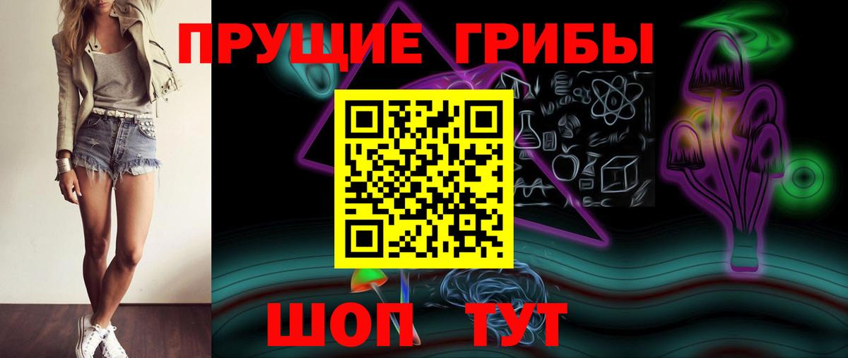 Галлюциногенные грибы Psilocybe  Вход с VPN  Янаул 