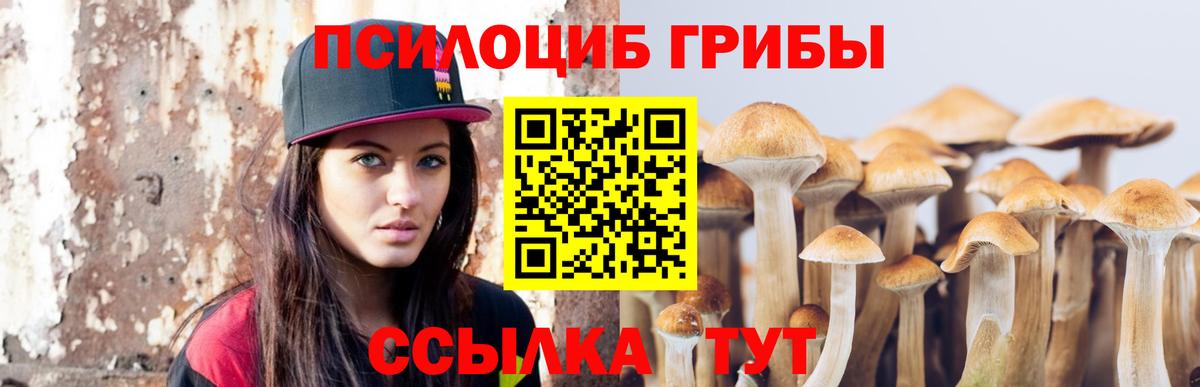 Псилоцибиновые грибы Psilocybine cubensis Янаул